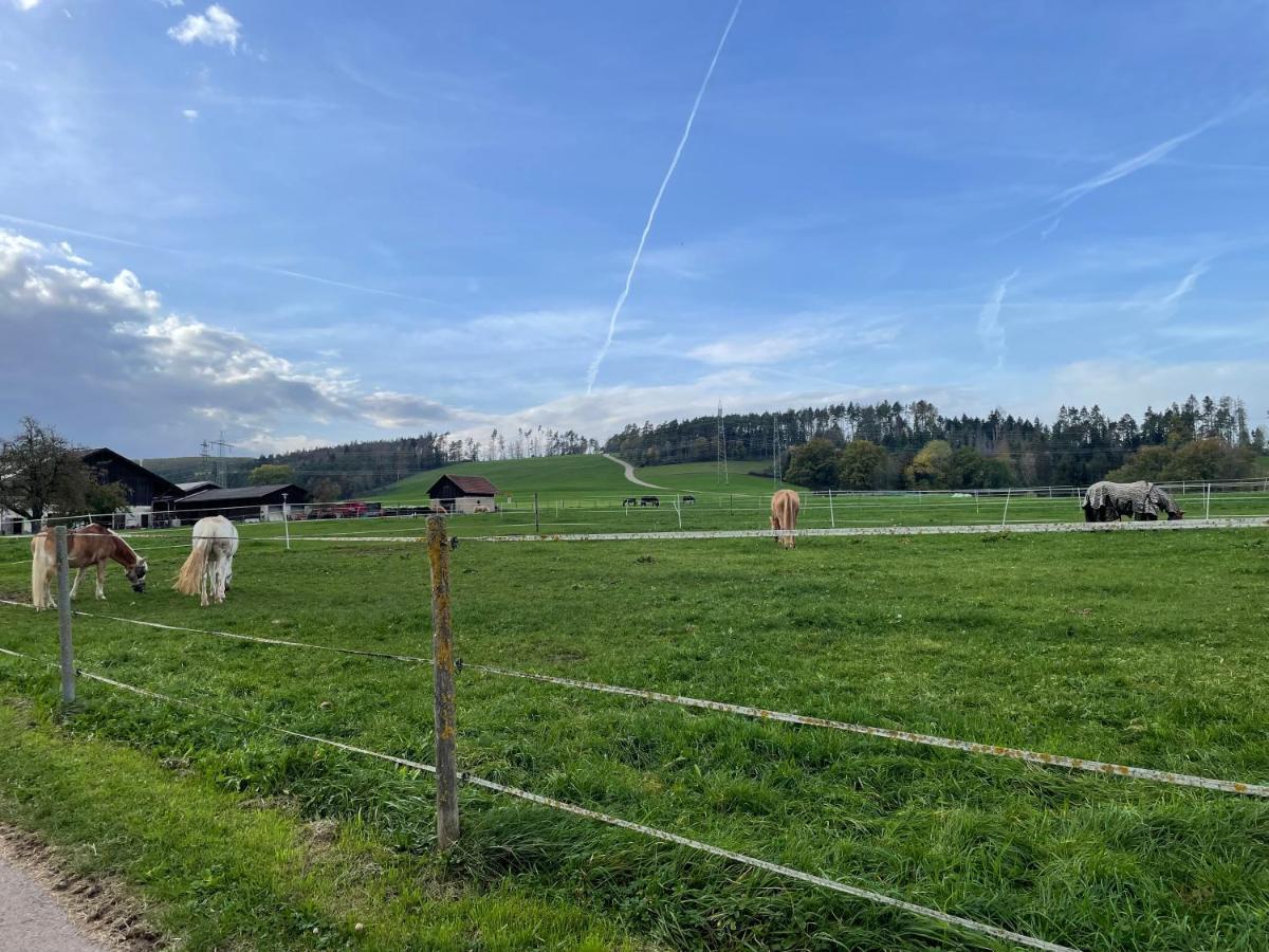Ferien Im Schwarzwald - Ruhe & Naturverbunden Weilheim Extérieur photo