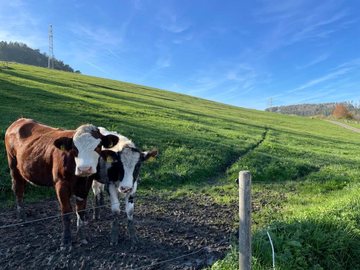 Ferien Im Schwarzwald - Ruhe & Naturverbunden Weilheim Extérieur photo