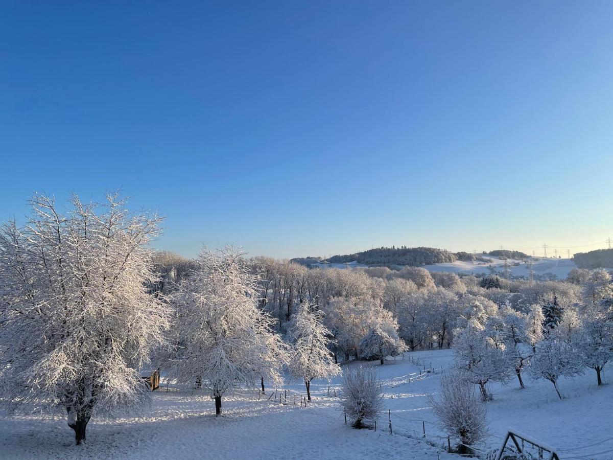Ferien Im Schwarzwald - Ruhe & Naturverbunden Weilheim Extérieur photo