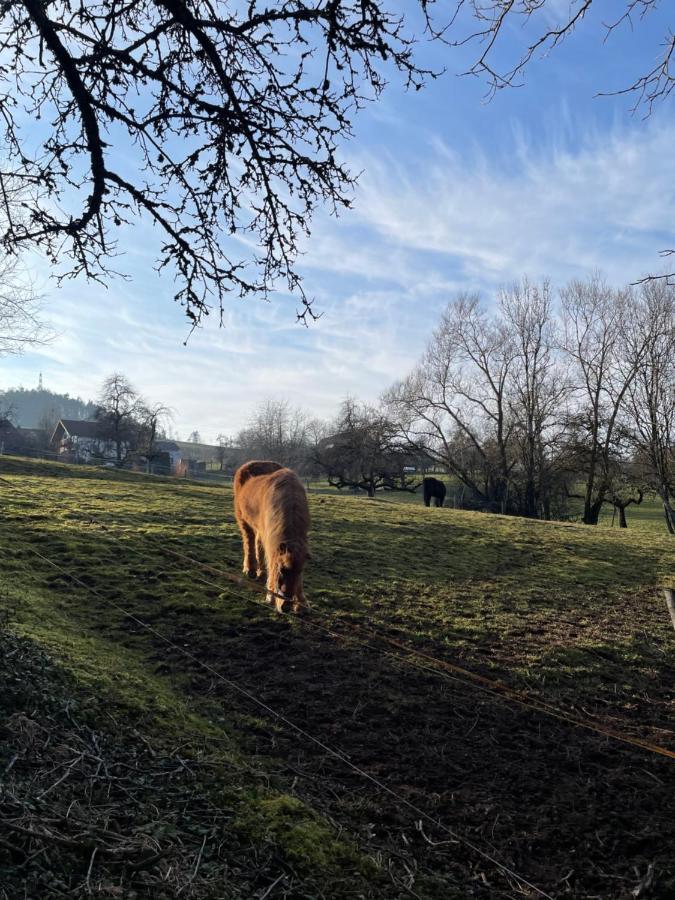 Ferien Im Schwarzwald - Ruhe & Naturverbunden Weilheim Extérieur photo